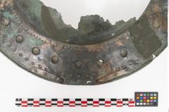 Foto von Bronzebreitrandschale (NHMW-PRAE-025899)